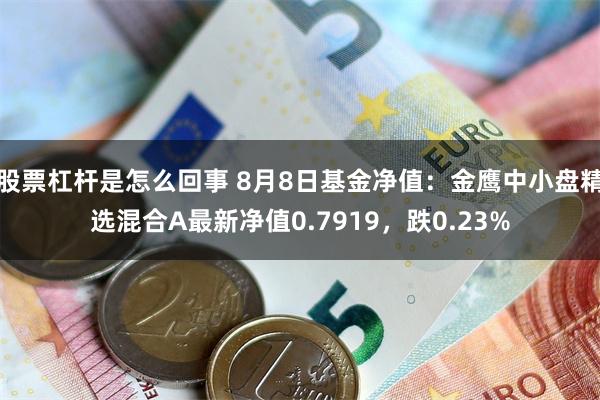 股票杠杆是怎么回事 8月8日基金净值：金鹰中小盘精选混合A最新净值0.7919，跌0.23%