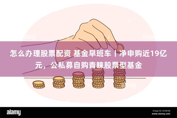 怎么办理股票配资 基金早班车丨净申购近19亿元，公私募自购青睐股票型基金