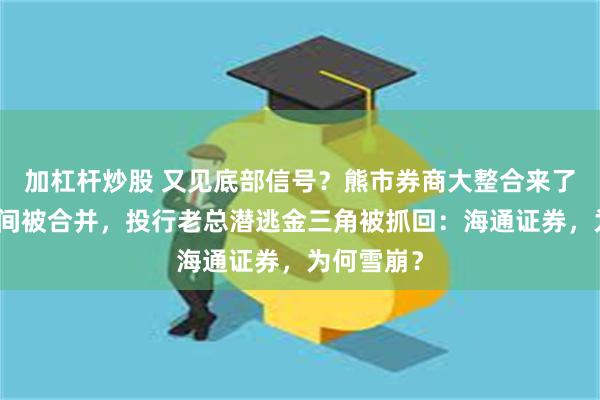 加杠杆炒股 又见底部信号？熊市券商大整合来了！一夜之间被合并，投行老总潜逃金三角被抓回：海通证券，为何雪崩？