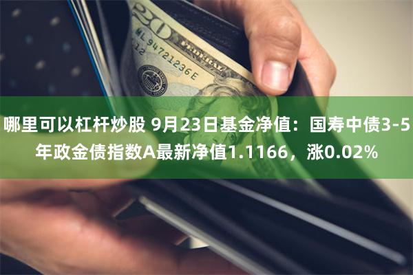 哪里可以杠杆炒股 9月23日基金净值：国寿中债3-5年政金债指数A最新净值1.1166，涨0.02%