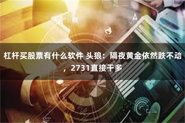 杠杆买股票有什么软件 头狼：隔夜黄金依然跌不动，2731直接干多