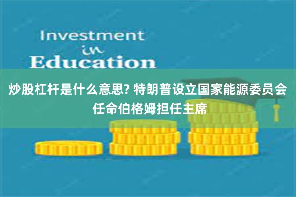 炒股杠杆是什么意思? 特朗普设立国家能源委员会 任命伯格姆担任主席