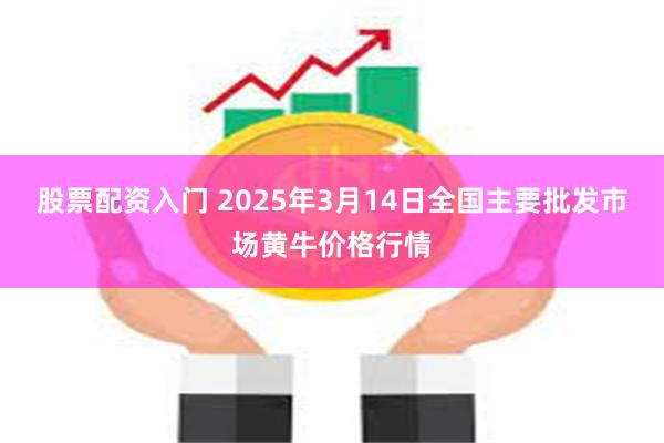 股票配资入门 2025年3月14日全国主要批发市场黄牛价格行情